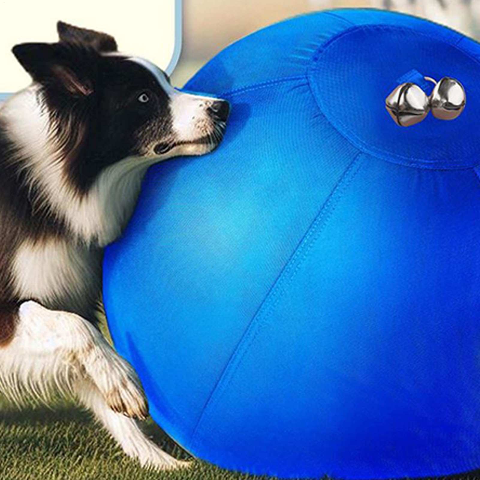 Jouet pour Chien de Berger Compagnon Gonflable et rebondissant