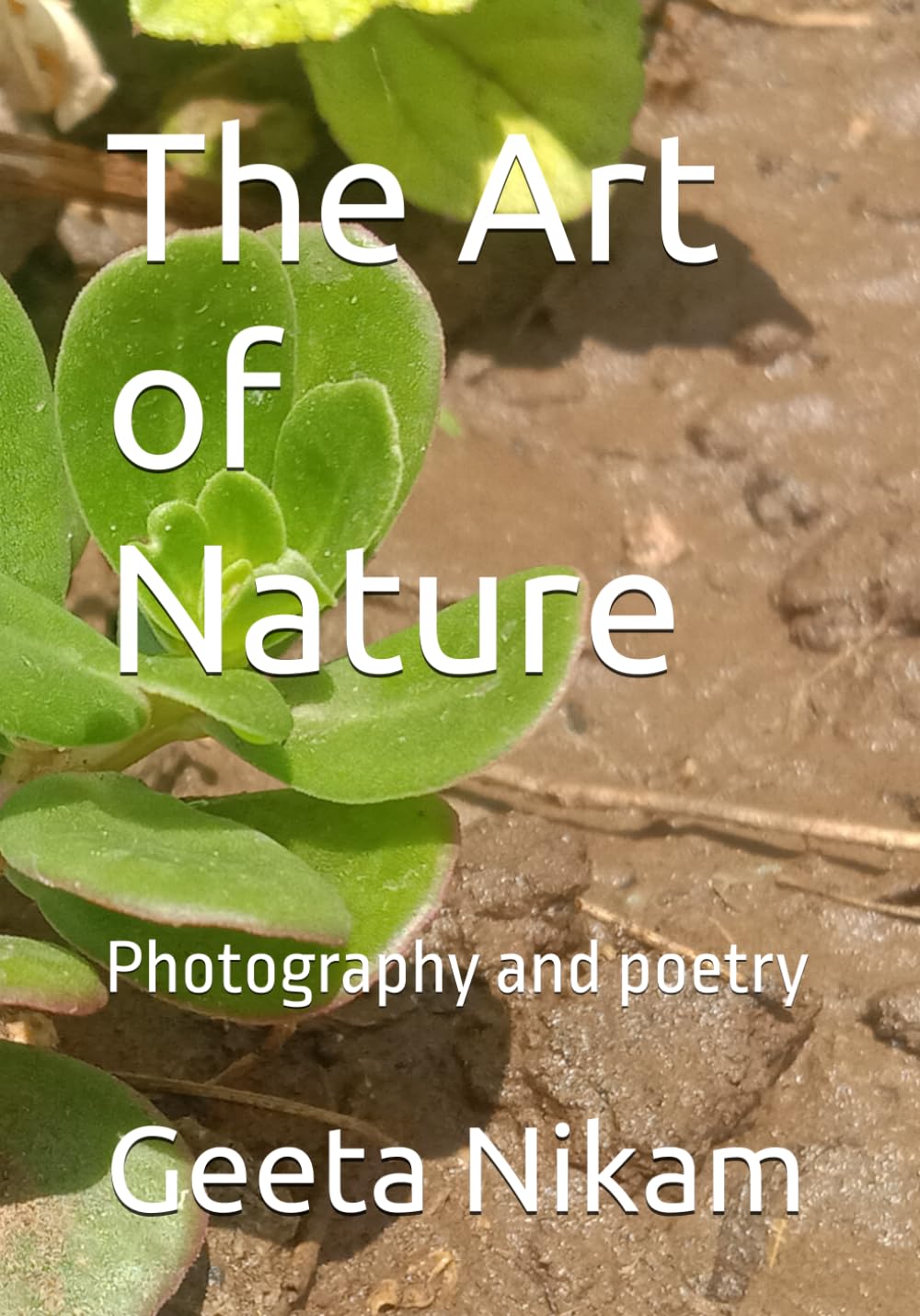 Photographie et poésie d'art de la nature pour une décoration élégante