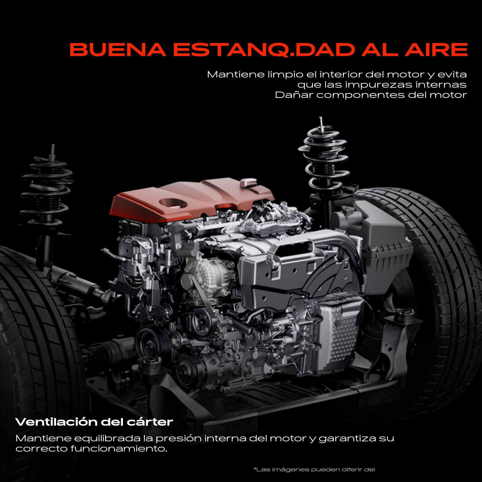 Frankberg Tapa de válvulas | Compatible con: Serie 3 E46, X5 E53, Serie 3 Convertible E46, Serie 7 E65 E66 E67, Serie 3 Coupé E46, Serie 5 E39