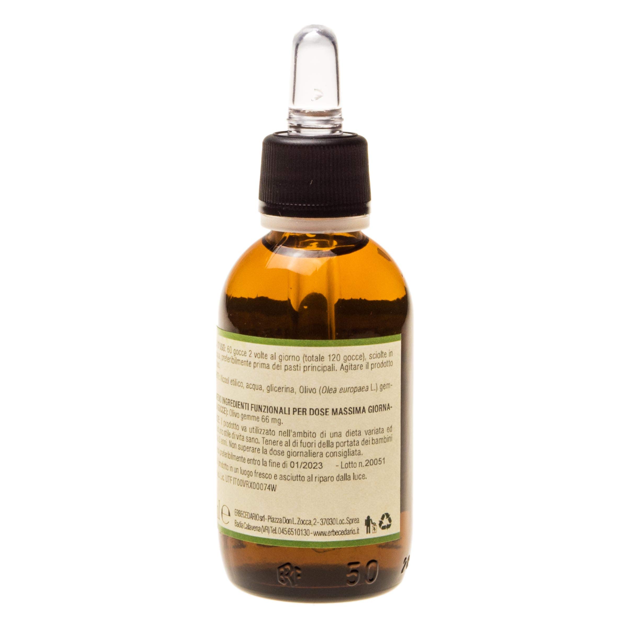 Olivo Gemmoderivato per il Metabolismo di Grassi e Zuccheri, Integratore Antiossidante per l'Apparato Cardiovascolare, favorisce la regolarità della Pressione Arteriosa, 50ml