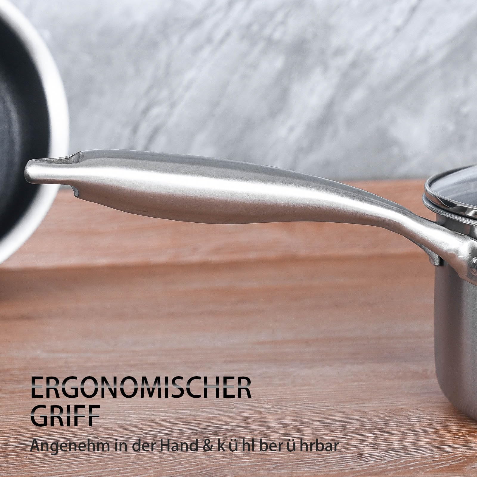 LOLYKITCH Edelstahl Kochtopf Topfset 16+18cm mit Deckel, Kochtopf Induktion | Antihaft Stielkasserolle, Hitzebeständiger Griff, Kochtöpfe für Alle Herdarten, Ofen- und Spülmaschinengeeignet, PFOA-frei