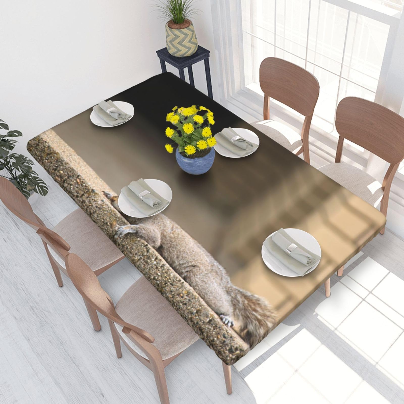 BNVSADC Squirrel Just Laying Printed 4FT Tablecloth 122x76 CM Polyester Kitchen Water Resistant Table Cloth Dining Table Decoration Table Covers