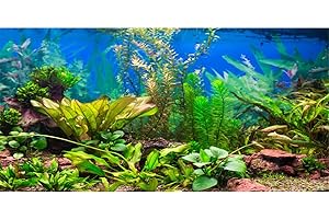 48x24 Inches Aquarium Background with Aquatic Plant River Bed Image