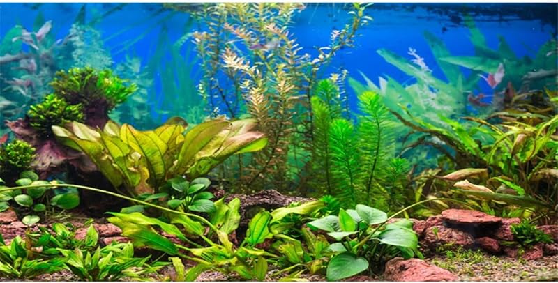 Fundo para Aquário com Plantas Aquáticas e Leito de Rio AWERT 121,92 x 60,96 cm