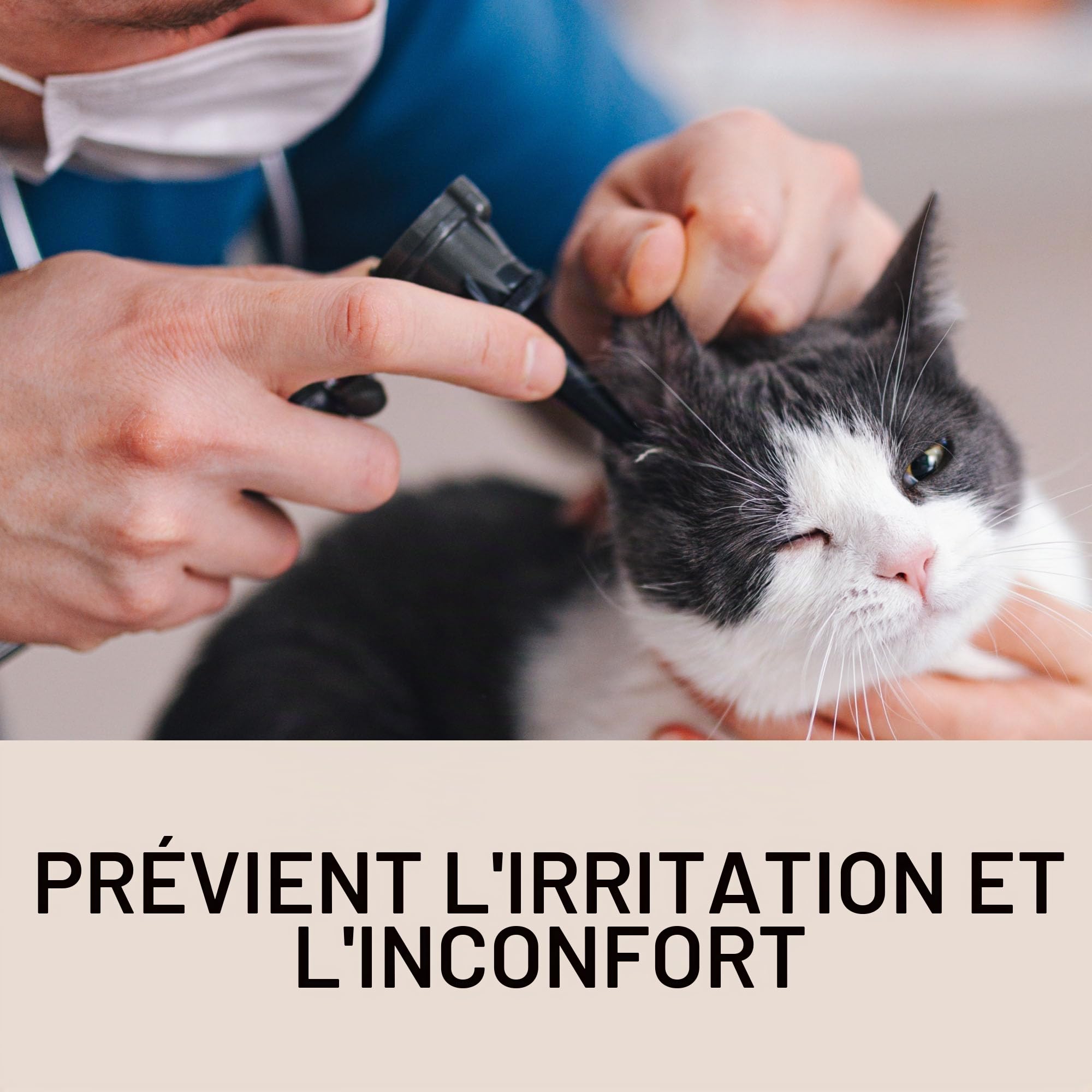 Eye Envy – Lingettes Nettoyantes pour Les Oreilles des Chats, Fabriquées aux États-Unis avec des Ingrédients Naturels, Non Parfumées, Sûres et Non Irritantes, Préviennent Les Infections, 60 Lingettes