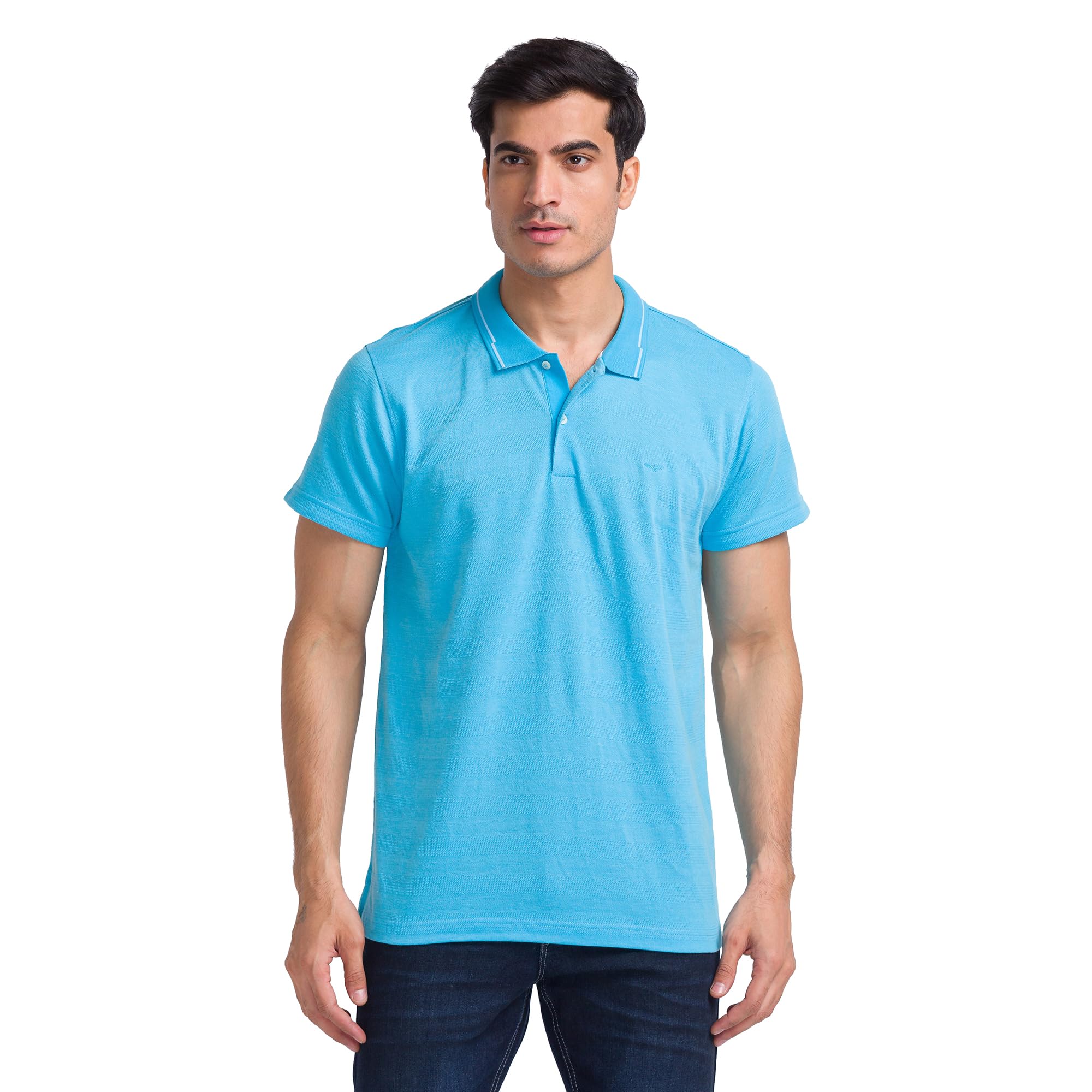 park avenue Men Slim Fit Stripe Pattern Pure Cotton Half Sleeve Polo Neck Casual T-Shirt-picture-31