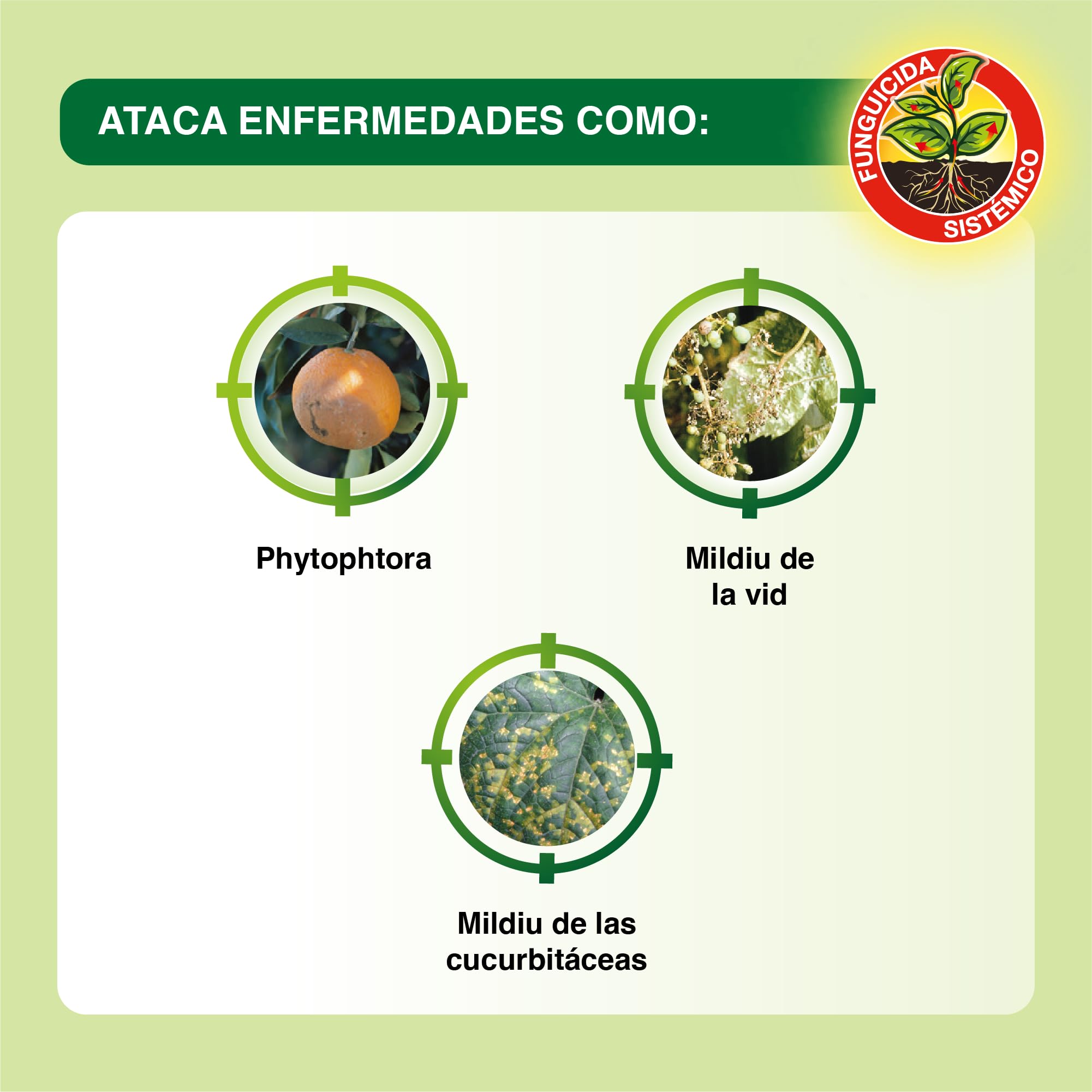 Protect Garden Fungicida sistémico WG, ideal para cítricos, horticolas y vid. Previene y cura las enfermedades fúngicas de la vid, los cítricos y hortícolas (El empaque puede variar)