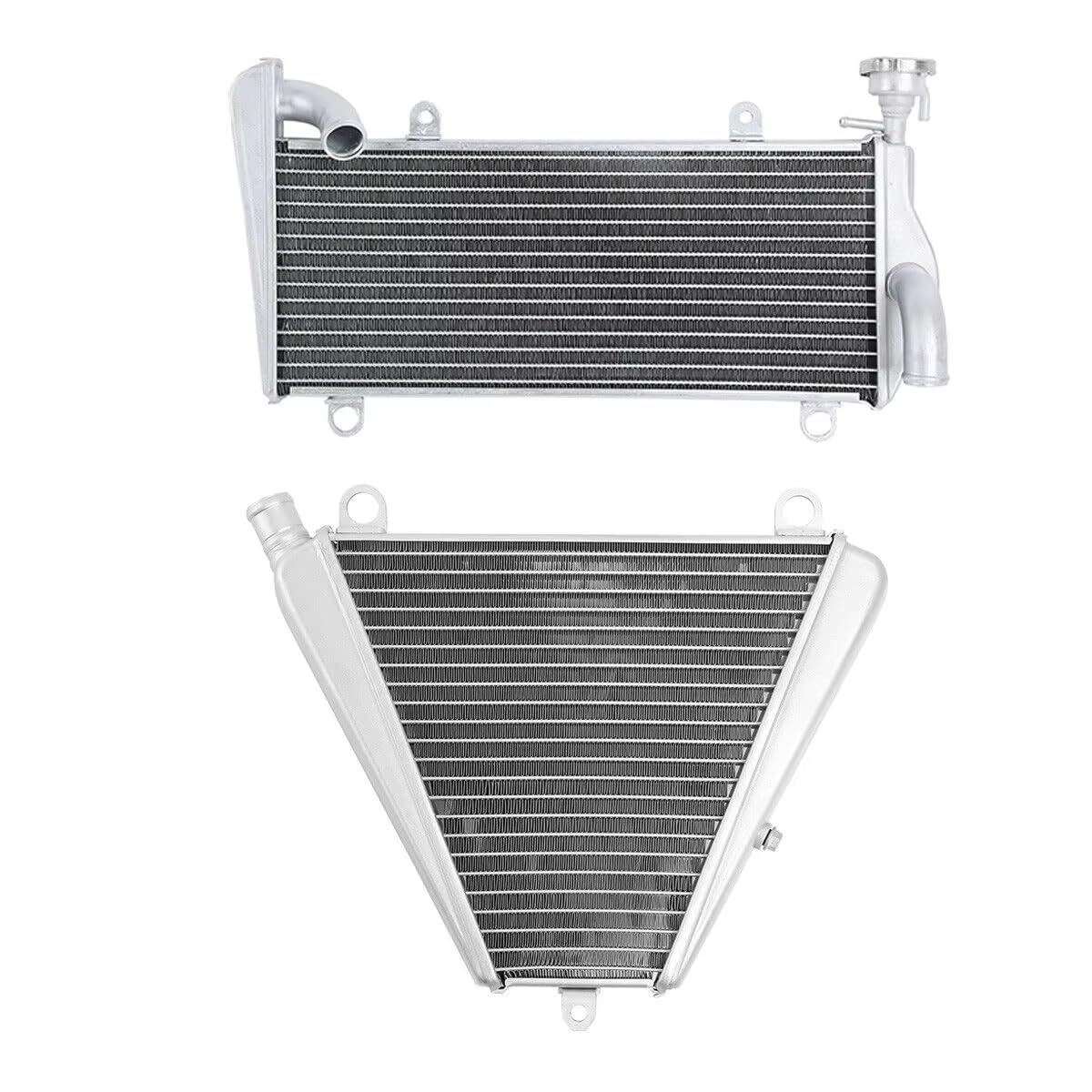 Compatibile Con Ducati Per 959 Per Panigale 2016 Per 1199 Per Panigale 2012-2015 Serbatoio Acqua Per Moto Radiatore Per Moto Radiatore Moto