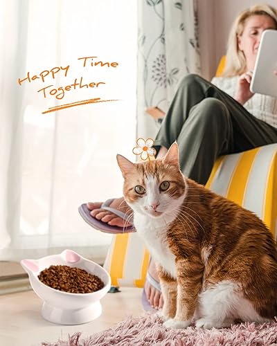 Miniatura 6 de Cuenco elevado de cerámica para gatos  15 inclinados, protección de columna vertebral, anti-vómitos, prevención de reflujo para gatos adultos,