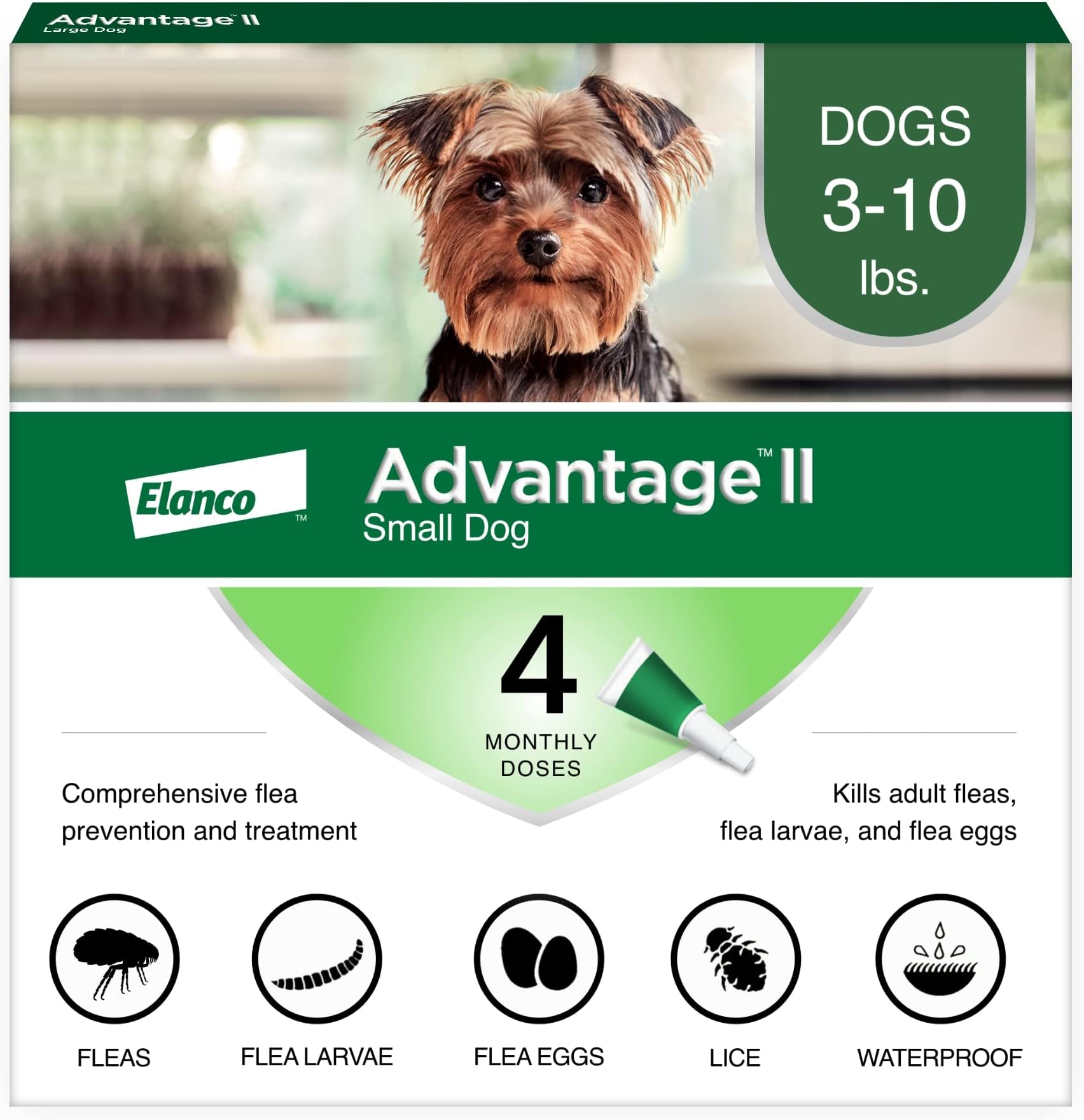 II Small Dog, 4 pack