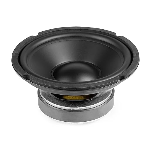 Haut Parleur Subwoofer 100W 8 Ohms 20cm