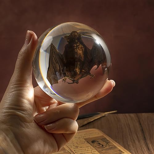 Miniatura 86 de Espécimen de esqueleto de murciélago real en resina para educación científica en el aula, gran regalo para fanáticos de la taxidermia, cráneo