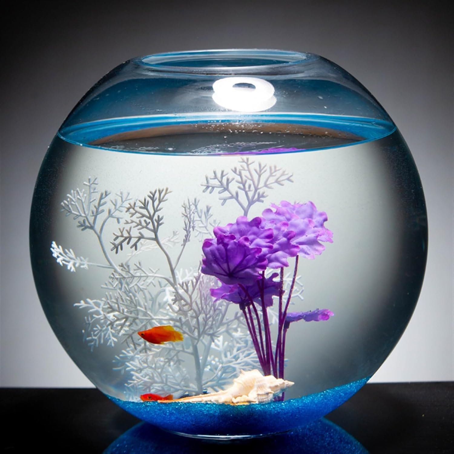 GRFIT Aquarium Thickened Transparent Glass Fish Tank, Large Round Tank for Fish, Desktop Aquarium, Fish Tank for Living Room, Turtle Tank Fish Aquarium(Small)