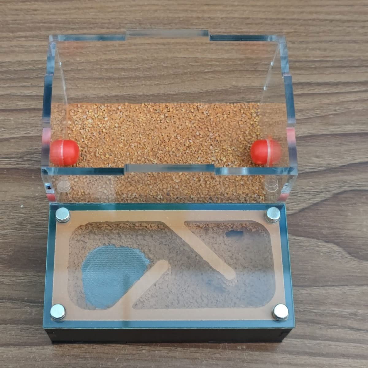 DIY Yeso Nido Hormigas, Acrílico Granja Hormigas, Caja Hormiguero con Área Alimentación Nidos Hormigas Ants Nest Insectos Villa Pet Mania House para Hormigas Doméstica