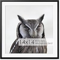 Vista 667 de Fun Memories Portarretratos de metal de 16 x 20 pulgadas con paspartú de 11 x 14 pulgadas, acabado de aluminio cepillado, parte delantera de vidrio