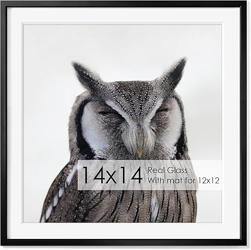 Miniatura 667 de Fun Memories Portarretratos de metal de 16 x 20 pulgadas con paspartú de 11 x 14 pulgadas, acabado de aluminio cepillado, parte delantera de vidrio