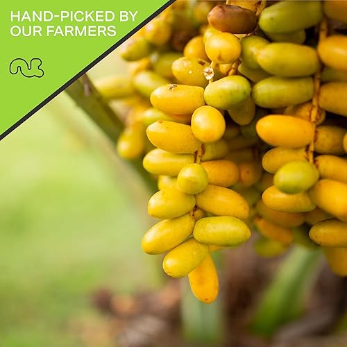 Miniatura 4 de Deglet Noor Dates deshuesado, sin azúcar añadido (80 oz - 5 libras) envasado fresco en una bolsa resellable, fruta dulce deshidratada, aperitivo,