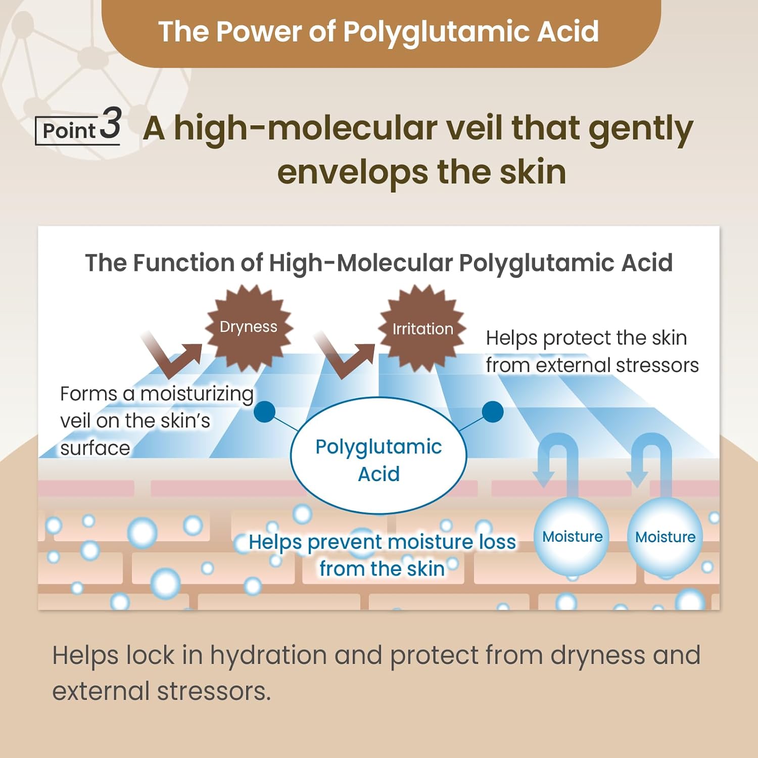 Natto Polyglutamic Acid Lotion for Face, Body and Family, Hydrating Facial Moisturizer, Made in Japan, 5.1 fl oz (150 mL)