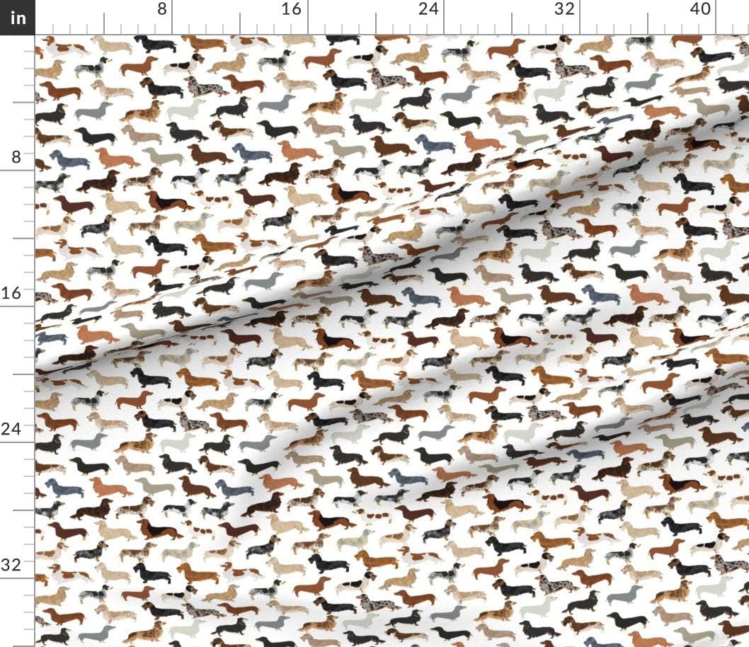 Spoonflower Fabric - Haired Dachshunds Dogs Pets Dachshund Pet Printed on Petal Signature Cotton Fabric by The Yard - Sewing Quilting Apparel Crafts Decor