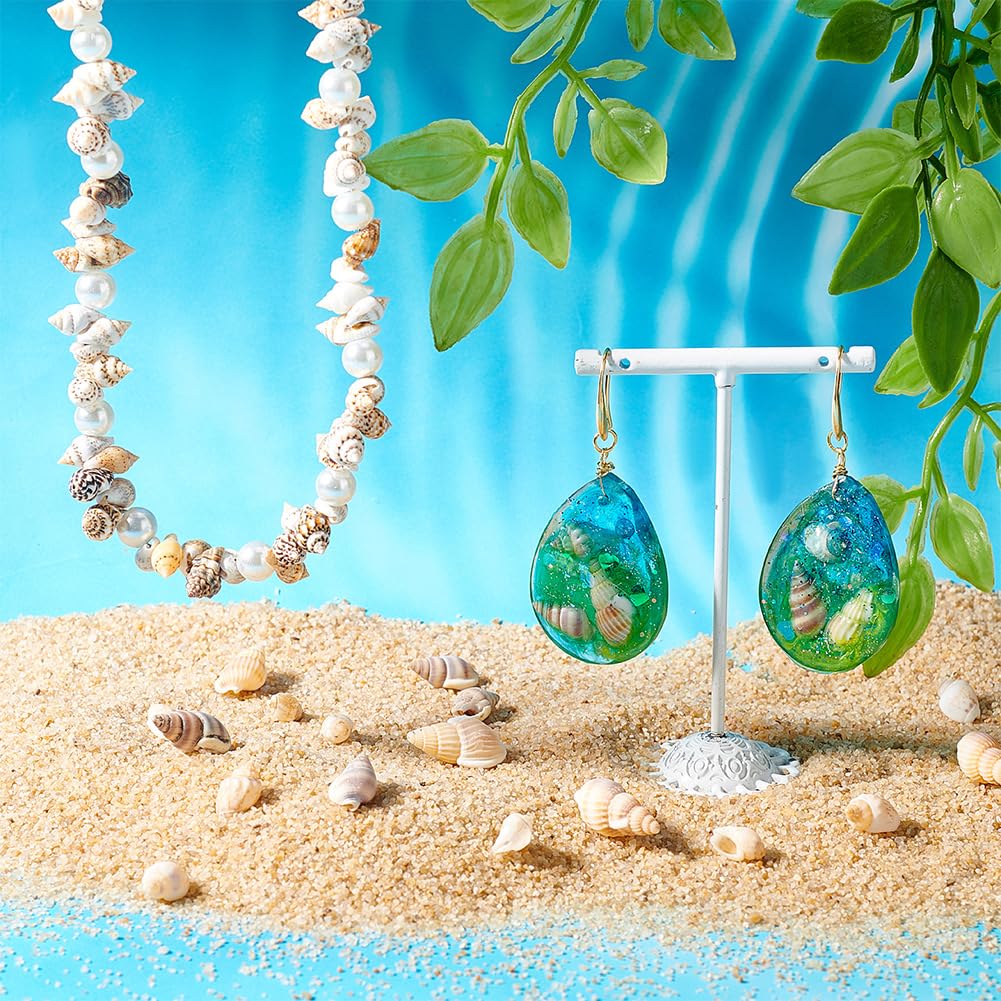 Amazon.com: PandaHall About 70g/330pcs 4 Styles Spiral Shells