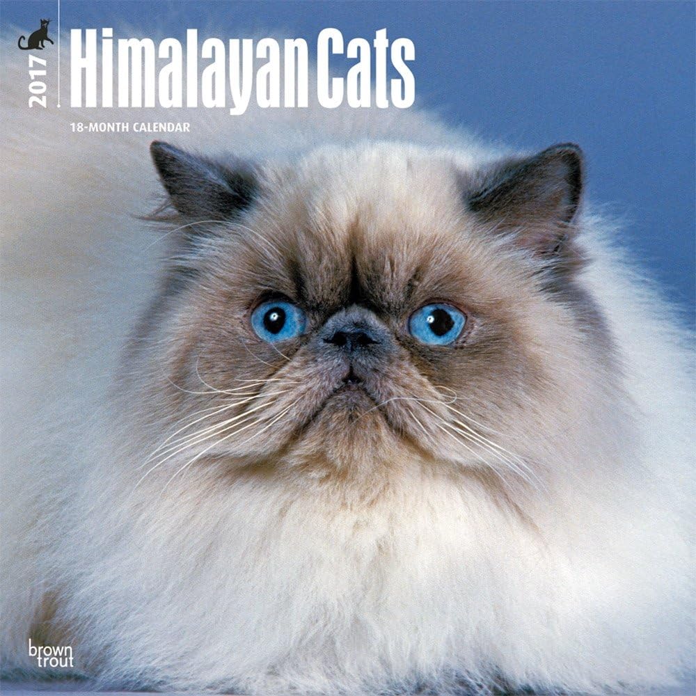 Himalayan Cats 2017 Calendar Calendar – Wall Calendar