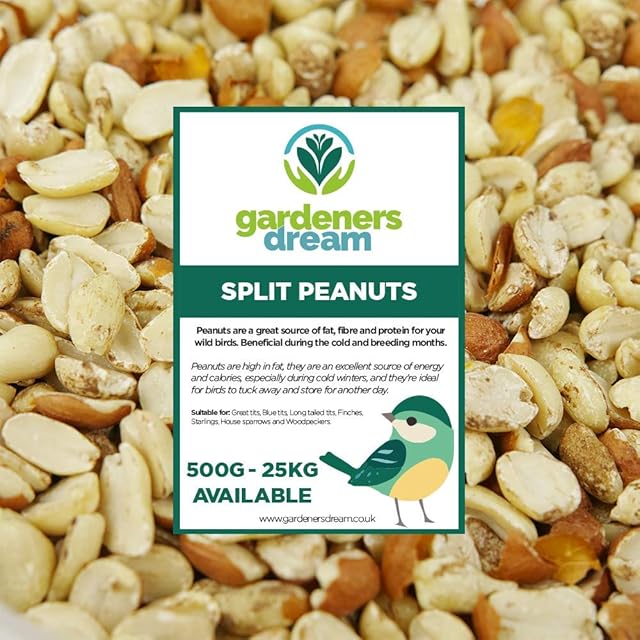 GardenersDream Split Peanuts | Premium Quality Fresh Feed | Garden Wild Bird Nut Food | Aflatoxin Free Mix | Protein Rich, High in Energy Mixture | Nutritious Vitamins and Essential Oils (1kg)