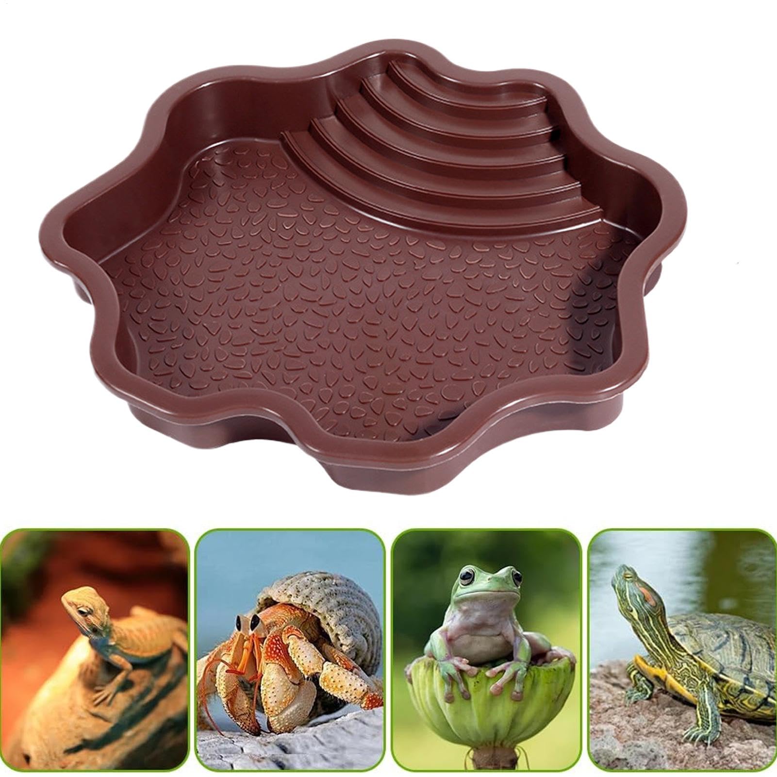 Piscine de baignade pour reptiles avec échelle | Accessoires habitat pour salamandre, dragon barbu, lézard