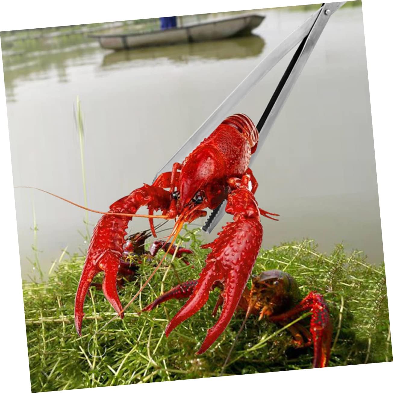 Stainless Steel Crab Tong Multi-Function Eel Clamp Tool Non-Slip Design for Seafood and Fishing Outdoor Accessory for Crab Picking and Catching Loaches