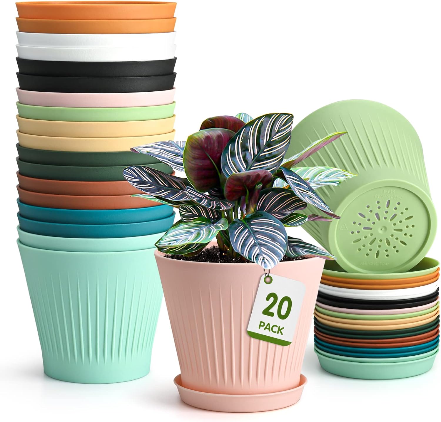 Buy 20 Pack Planter Pots for Plants, 6 inch Plastic Plant Flower Pots