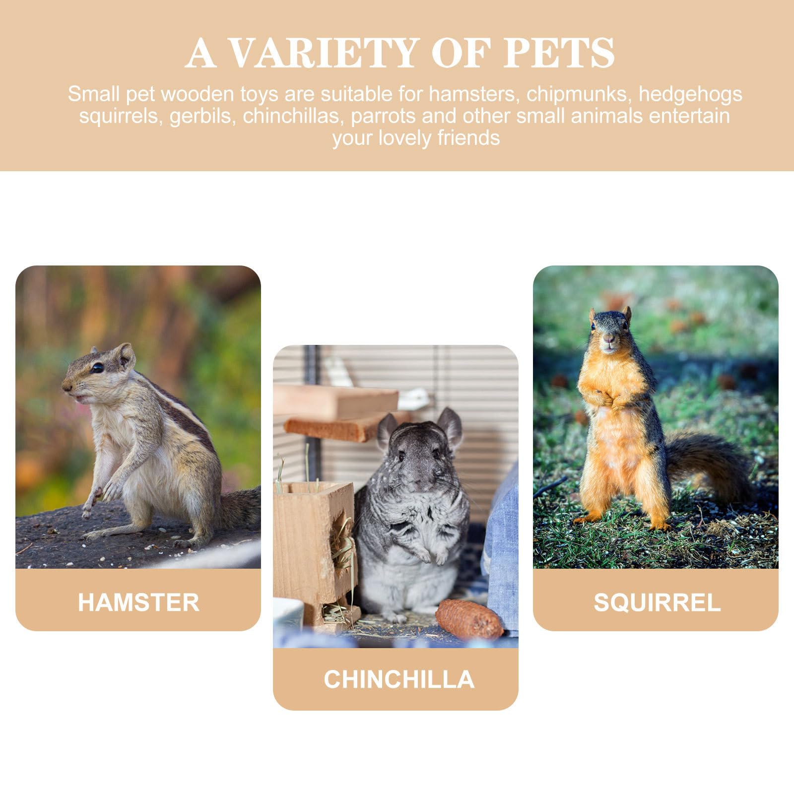 à Mâcher en Bois 3,6 CM pour Lapins et Hamsters Accessoire Dentaire pour Petits Animaux de Compagnie