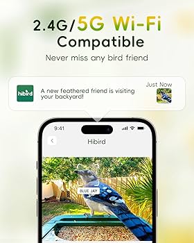 Amazon.com : Hibird 4K HD Smart Bird Feeder with Camera, 2.4
