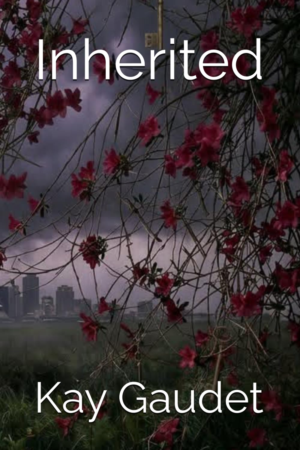 Inherited (The Vance Legacy Series)
