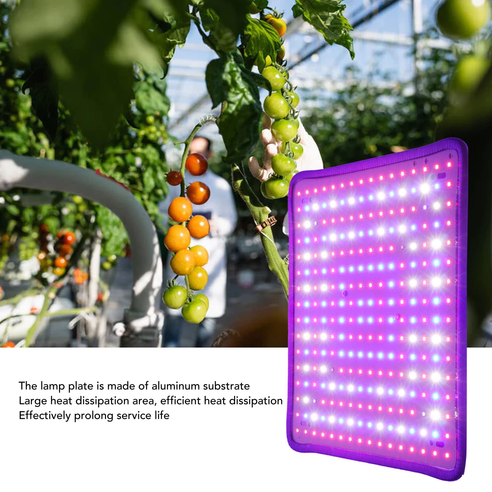 Lámparas de Cultivo de Plantas, Luces de Cultivo de Plantas LED de Control Científico de 1000 W, Luces de Cultivo LED de Bajo Calor para Invernadero de Plantas de Interior(EU-12 pulgadas)