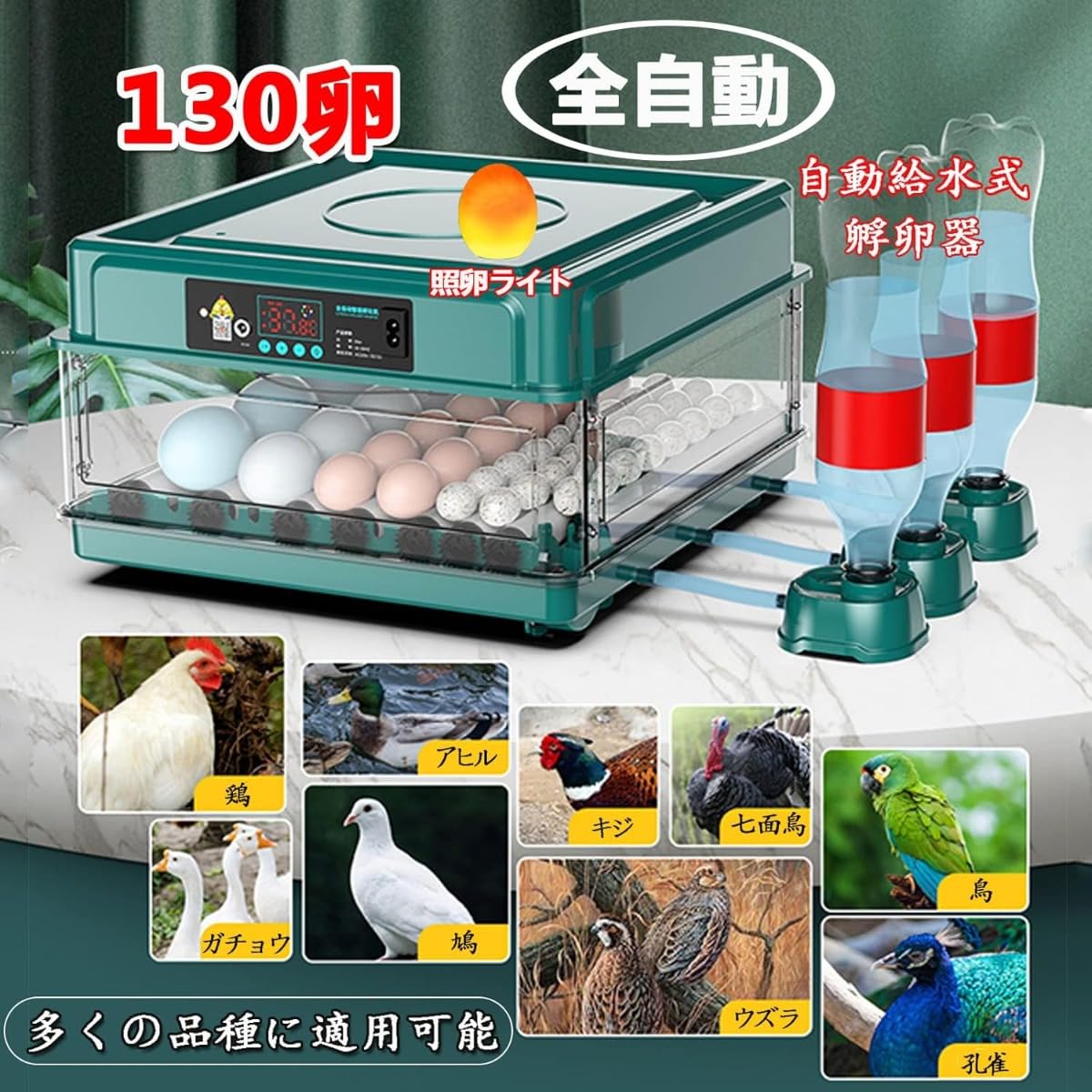 Amazon | 【Ptomoto】 鳥類の孵化 自動インキュベーター 自動孵卵器