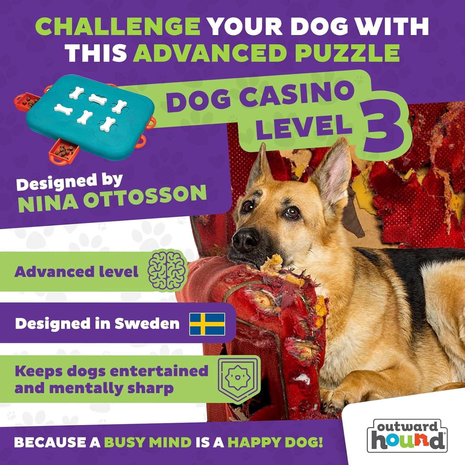 Pet Supplies : Outward Hound by Nina Ottosson Dog Casino Treat
