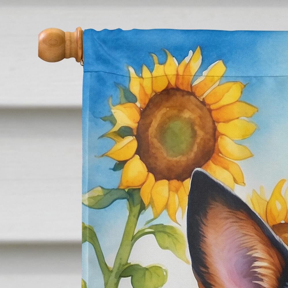 Caroline's Treasures DAC6013CHF Australian Cattle Dog in Sunflowers House Flag Large Porch Sleeve Pole Decorative Outside Yard Banner Artwork Wall Hanging, Polyester, House Size, Multicolor