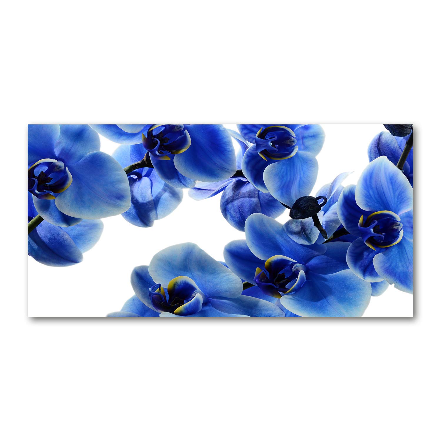 Image verre plastique haute définition Tulup 140x70cm orchidée bleue