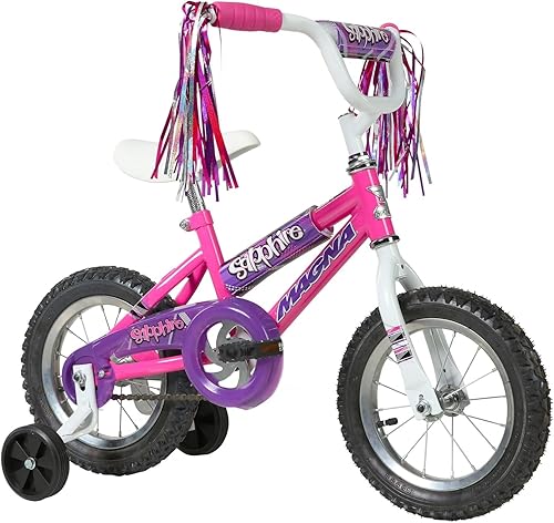 Dynacraft Magna Sapphire Bike, 12-20-Inch Wheels, Girls Ages 3-10 Years