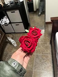 Geyoga 6 Pcs Red Rose Flower Hair Clip & Comb Set - Bridal Wedding Flower Hair Accessories For Women & Girls | Buy Now With Express International Delivery - View #7