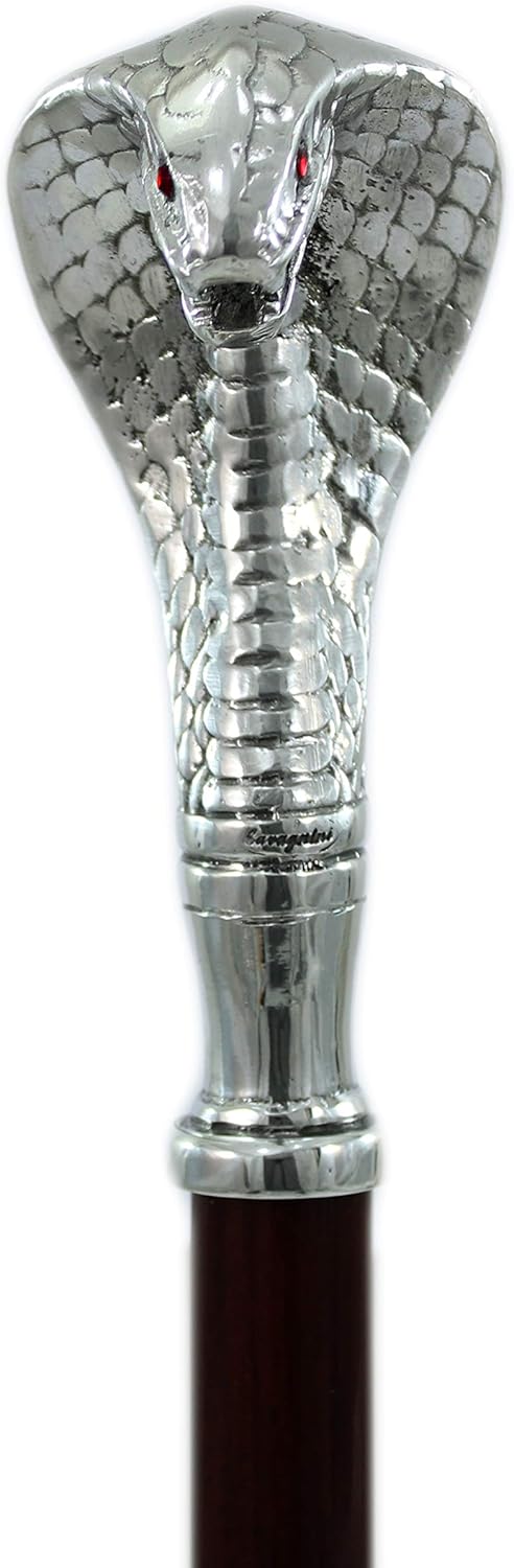 bastone da passeggio per il ghiaccio