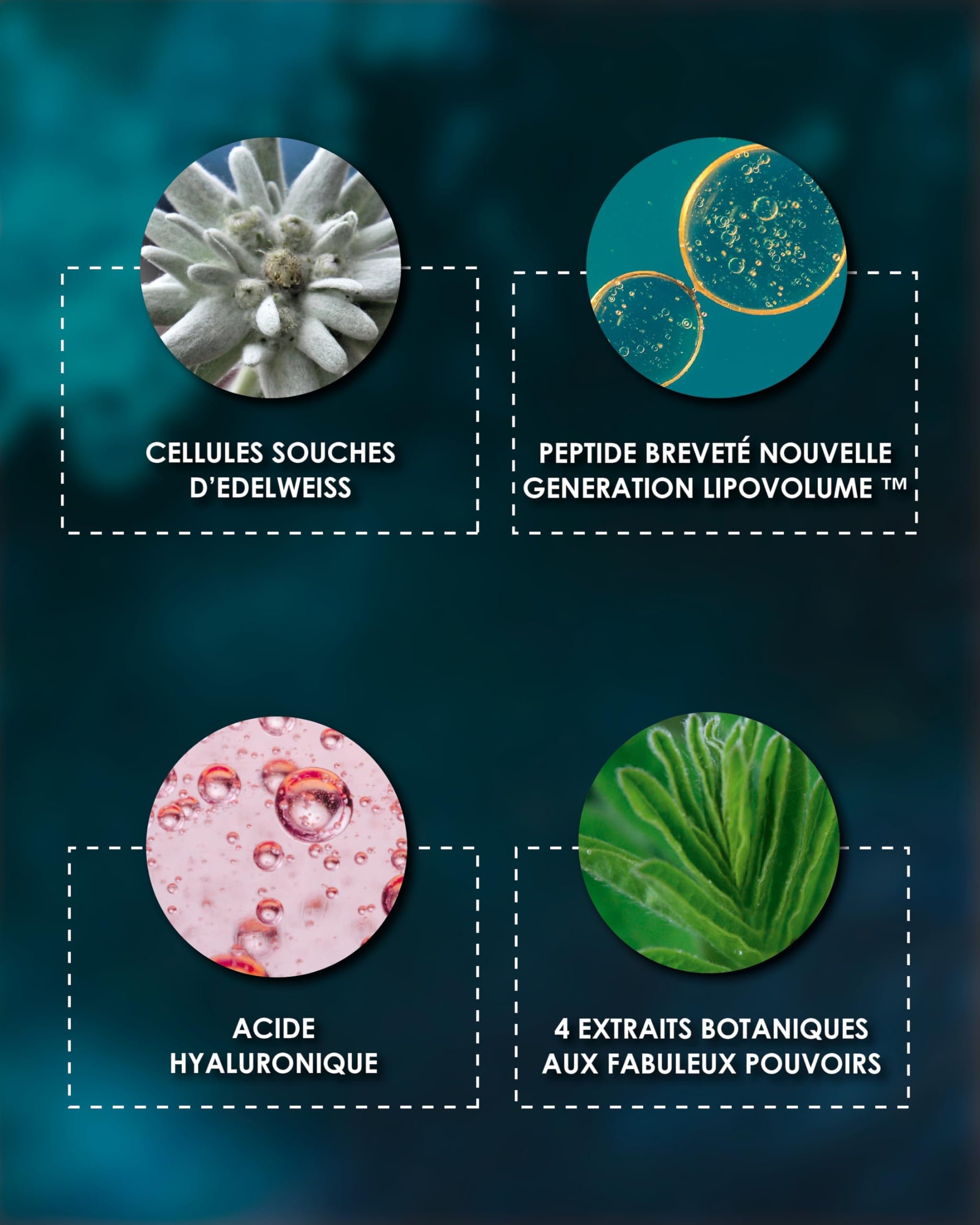 Garancia À la Belle Étoile Crème Nuit Méno-Expert Edelweiss Régénère 40ml | Visage et cou. Edelweiss, algues booster d'élastine et lavande brevetée, peau régénérée et lumineuse au réveil