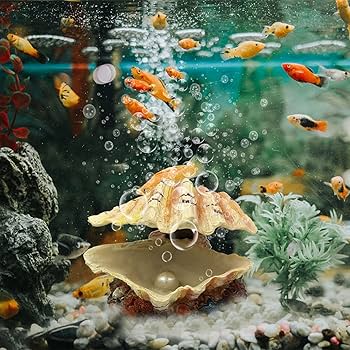 Amazon | Abnaok 水槽シェルデコレーション トロピカルアサリ