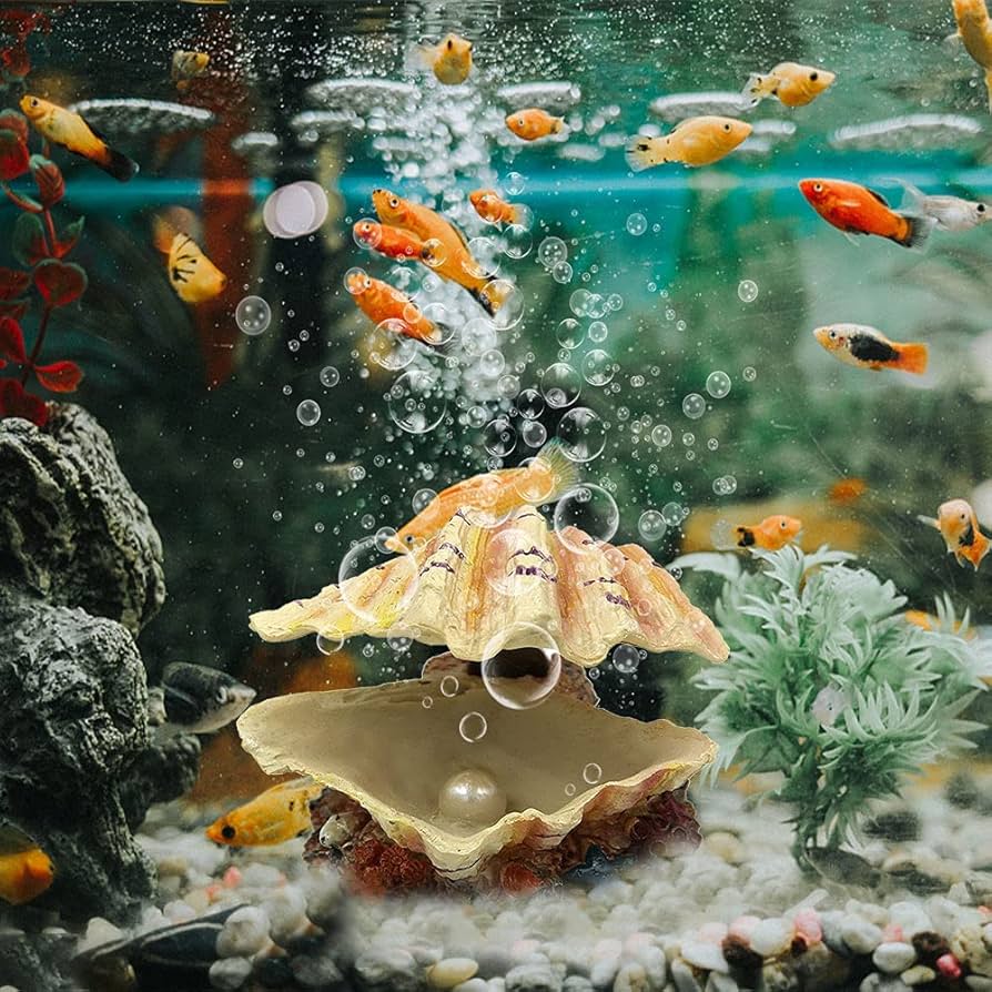 水草 syuri Amazon | Abnaok 水槽シェルデコレーション トロピカルアサリ