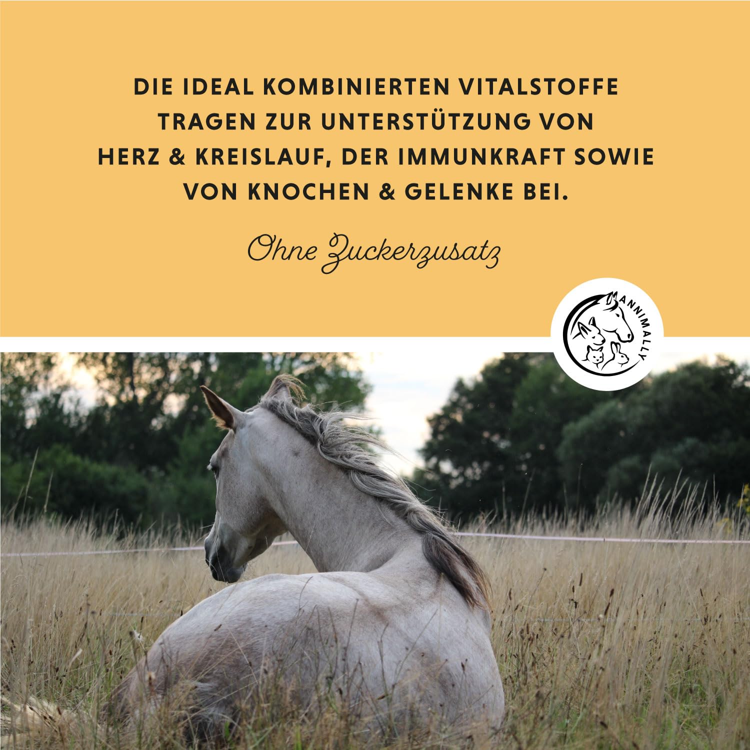 Annimally Senior Vital Pulver Pferd 2 kg mit MSM, Traubenkern, Glucosamin, Teufelskralle - Senior Zusatzfutter zur Unterstützung von Herz & Kreislauf sowie Knochen und Gelenke im Alter