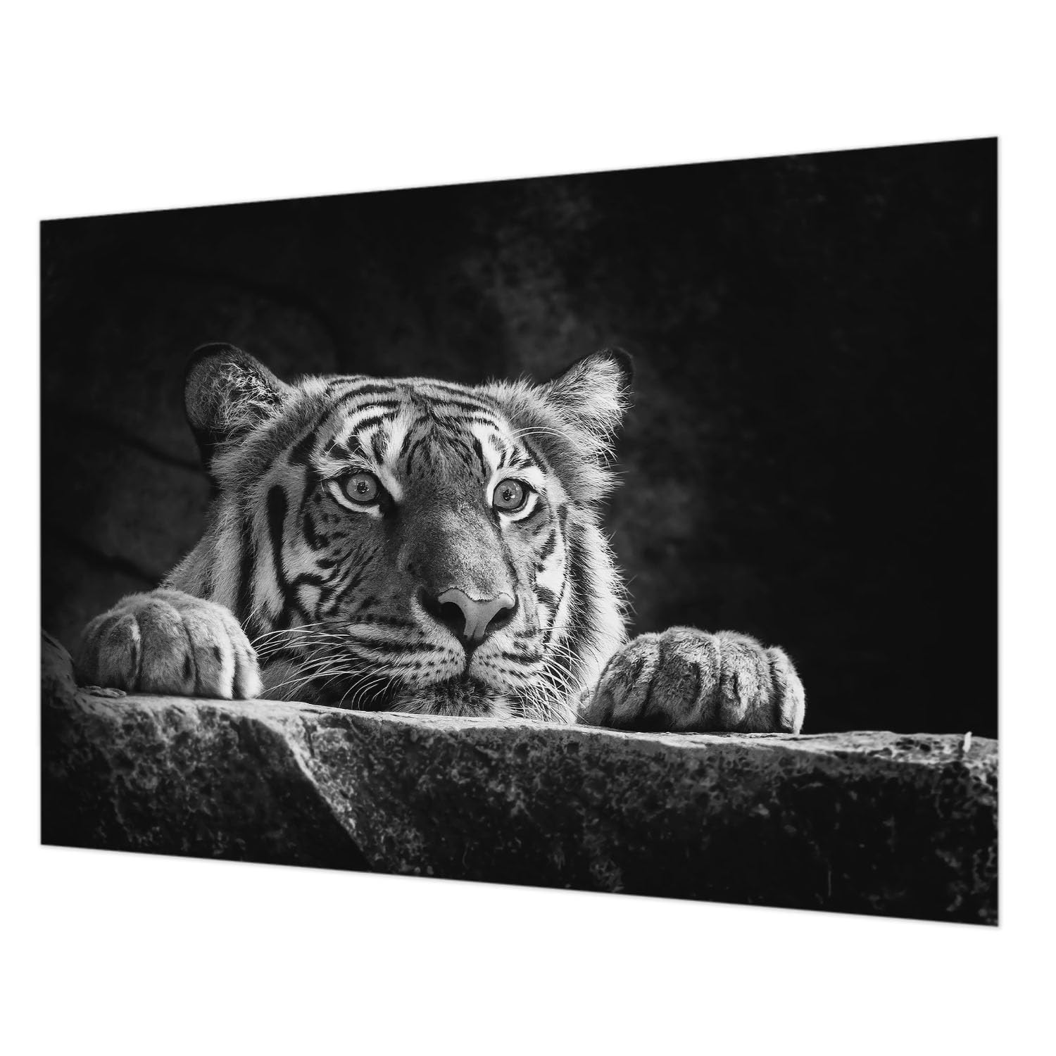 Papier Peint Intissé Facile à Nettoyer 208x146 cm avec Colle Incluse