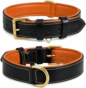 DowgClub Genuine Leather Dog Collar, Black, Small, Soft Leather Padding