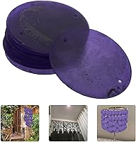 Vista 53 de GLEAVI Cowrie Shells 100pcs Round Shells Pieces Round Natural Capiz with 2 Hole, Polished Slice Accessory Capiz Pearl Coin Beads Charms for Jewelry