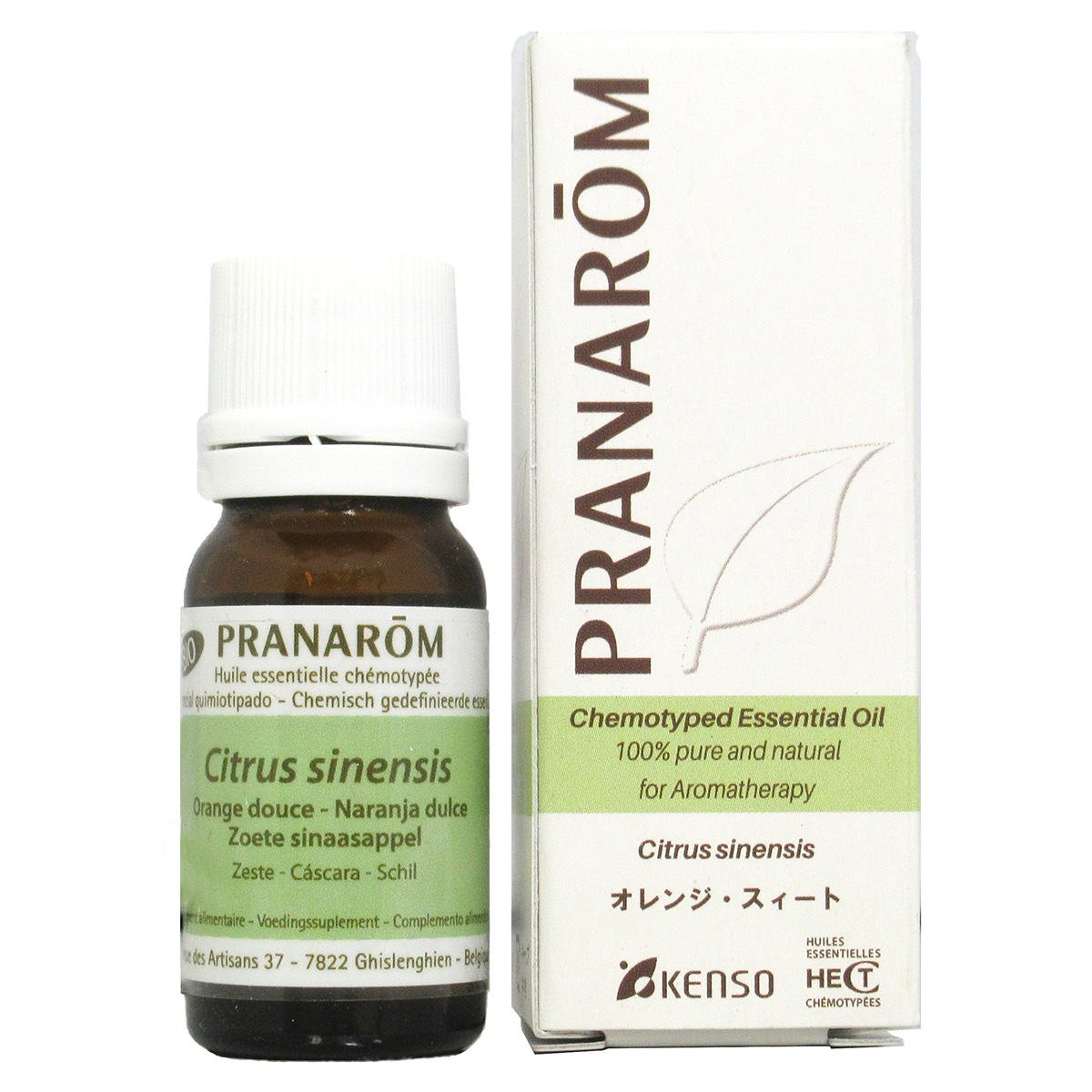 Amazon.co.jp: プラナロム オレンジスウィート 10ml (PRANAROM 
