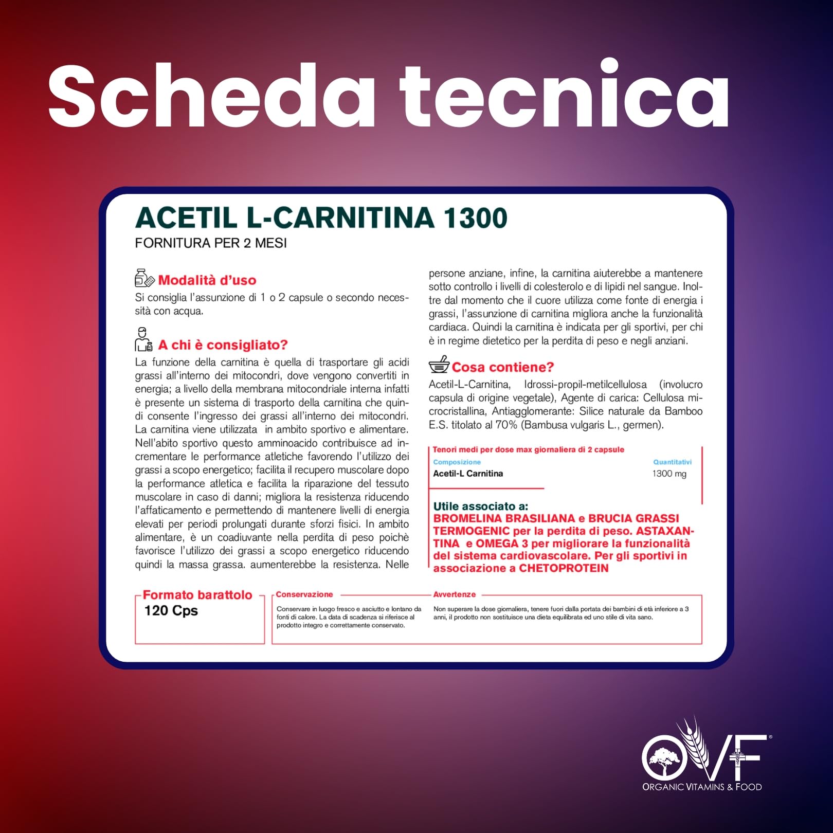 OVF - Acetil L-CARNITINA 1300mg 120cps (2 mesi di fornitura) - La Carnitina Potenzia la Produzione di Energia e favorisce il Metabolismo dei Grassi - Senza Biossido di Silicio - Made in Italy