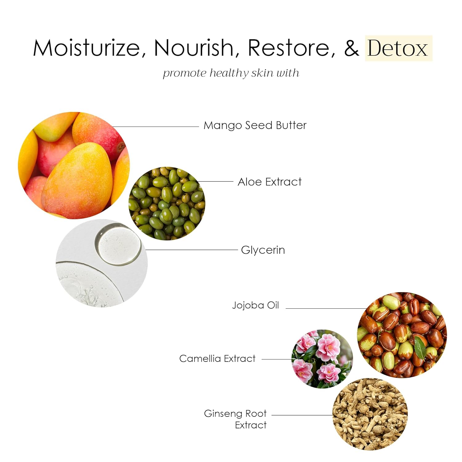 Natural Non Toxic Lotion - Made With Mango Butter, Olive Oil, & Glycerin, Unscented, Fragrance Free, Nourishing Ingredients, For All Skin Types, Family Owned